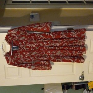 Robert Louis dress